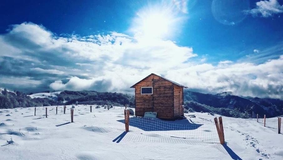 Готель Camping Shengjergj Тирана Екстер'єр фото